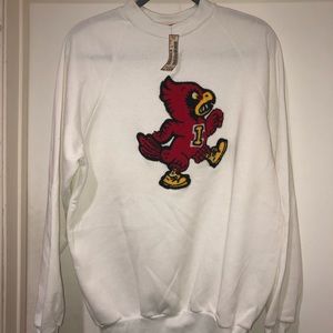 New deadstock vintage Iowa state sweater